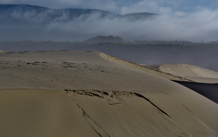 sand dunes